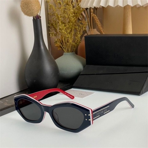 dior sunglass-183